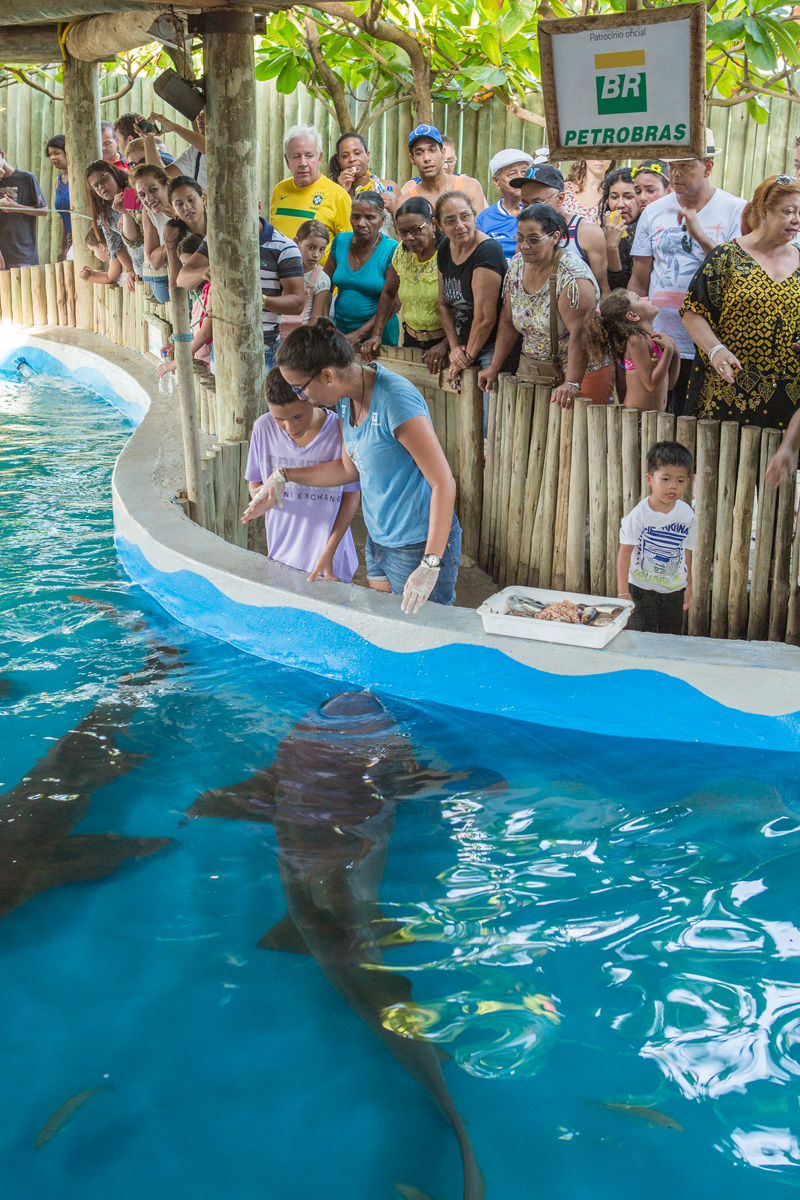 FUNDAÇÃO PROJETO TAMAR ARACAJU OCEANÁRIO SE