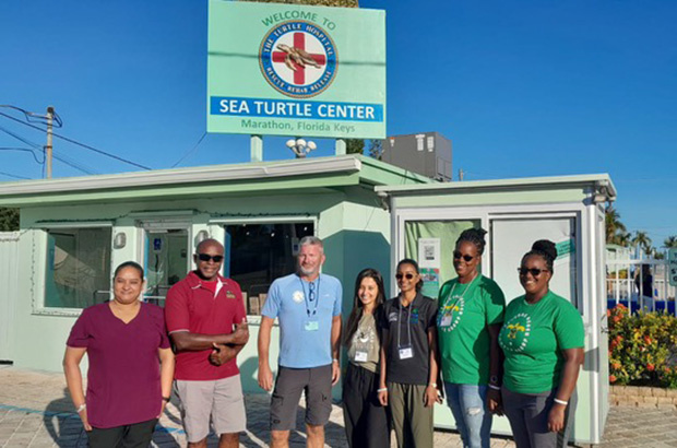 Workshop Anual de Veterinária e Tartarugas Marinhas: A Contribuição da Fundação Projeto Tamar